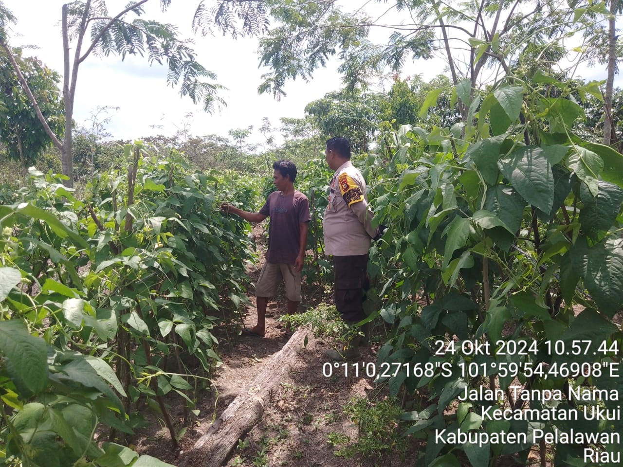 Polsek Ukui Cek Bahan Pangan Jelang Pilkada