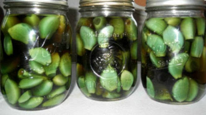 Konsumsi Madu dan Bawang Putih dalam Seminggu, Kejaiban Terjadi