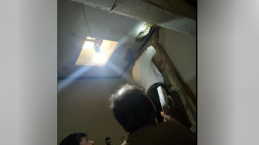 Ngeri, Ular Piton Besar Masuk ke Atap Rumah Warga