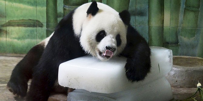 3 Efek Buruk yang Dapat Dialami Ketika Kamu Kepanasan