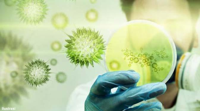 Diskes Pekanbaru Imbau Jemaah Haji Pekanbaru Waspadai Virus Mers- CoV