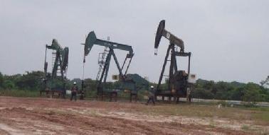 Blok Siak Akan Dikelola PT Pertamina