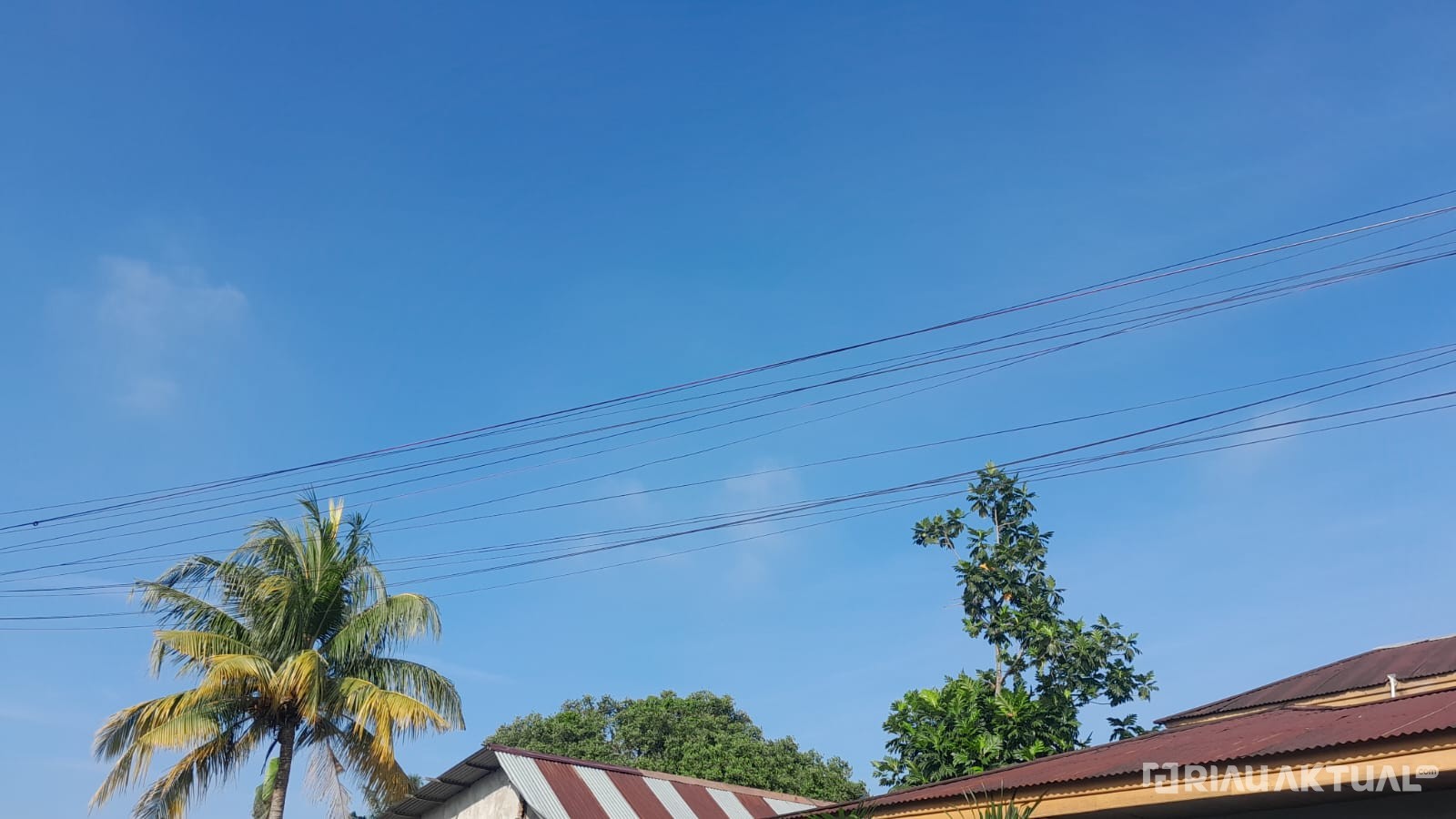 Cuaca Riau Masih Didominasi Cerah Berawan, Berikut Wilayah yang Berpotensi Hujan Hari Ini