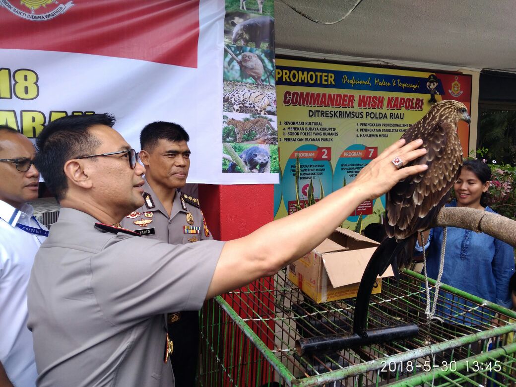 Polda Riau Amankan 44 Hewan Dilindungi