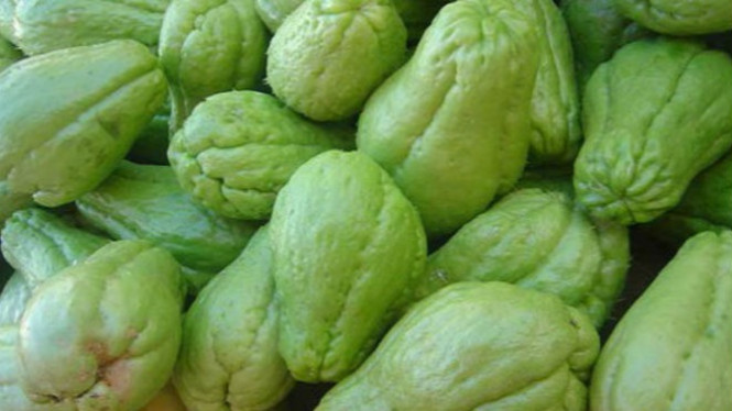 Diabetes dan Penyakit Ginjal Sembuh Berkat Sayuran Ini