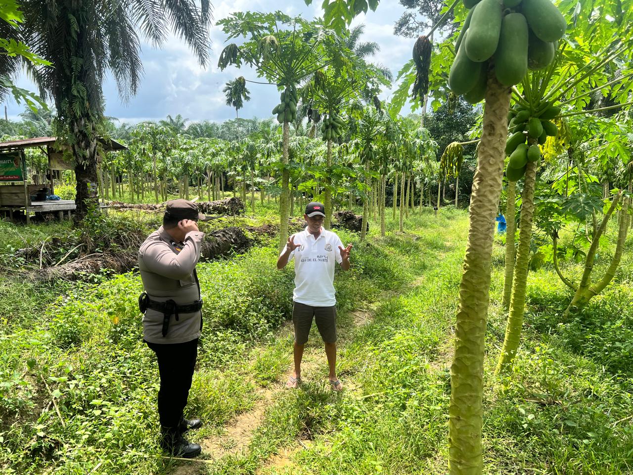 Begini cara Polsek Bangko Pusako Jaga Ketahanan Pangan
