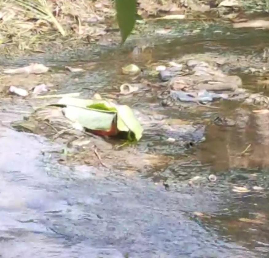 Jasad Bayi Ditemukan Tertutup Daun Pisang di Dalam Parit Tuanku Tambusai