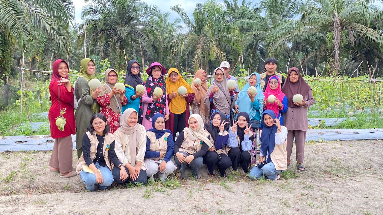 Panen Melon Bersama Mahasiswa KKN, Petani Trimulya Jaya Ungkap Rahasia Manisnya Hasil Tanam