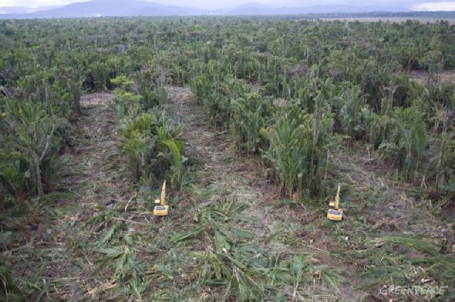 Anggota PITI Kepulauan Meranti Segera Miliki 100 Hektar Kebun Sagu