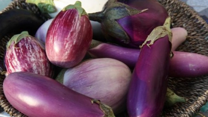 Penderita Asam Urat, Bolehkah Makan Terong?