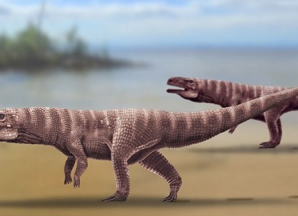 Jejak Buaya Purba Berjalan dengan Dua Kaki Ditemukan di Korea Selatan