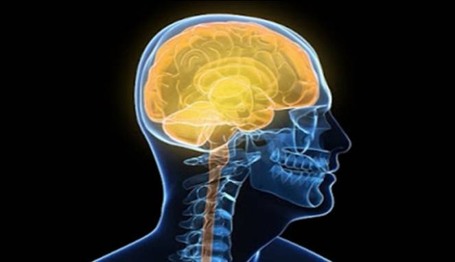 Faktor-faktor ini yang Sebabkan IQ Kamu Menurun Drastis