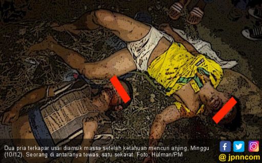Pencuri Anjing di Deliserdang Tewas Diamuk Massa