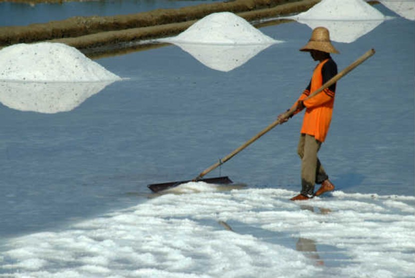 Kebijakan Impor Garam Dinilai Seperti Lingkaran Setan