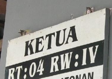Insentif Ketua RT dan RW di Tiga Kelurahan Masih di Meja Sekda Pekanbaru