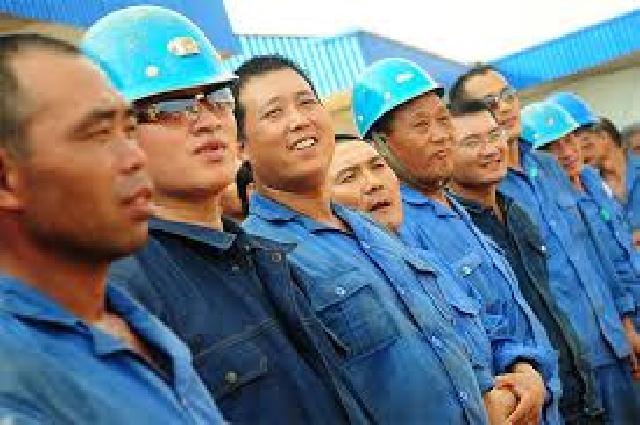 Tenaga Kerja Asing di Pelalawan tak Berkontribusi Bagi Daerah