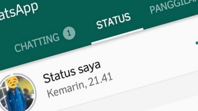 Cara Mengunduh Video dan Gambar di Status WhatsApp