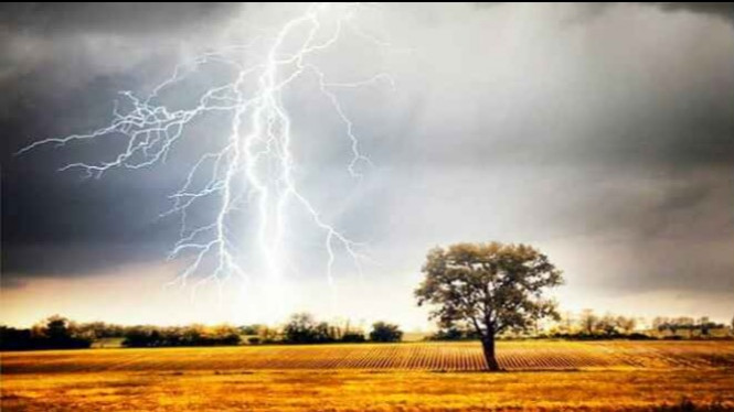 Tips Praktis Agar Selamat dari Sambaran Petir Dimanapun Berada