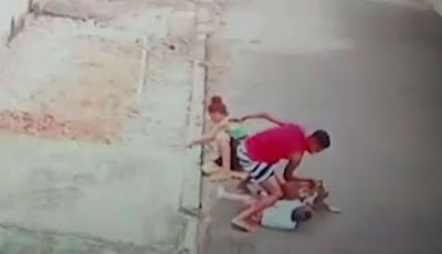 Anjing Pitbull Serang Anak 4 Tahun, Aksi Heroik Dilakukan Pria Ini