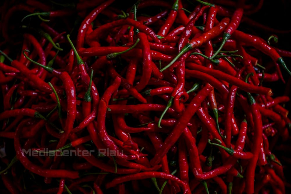 Harga Cabai di Riau Meroket, Ini Penyebabnya