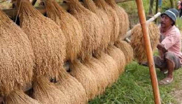 BBPOPT Riau Gelar Pertemuan dengan Upsus Pajale