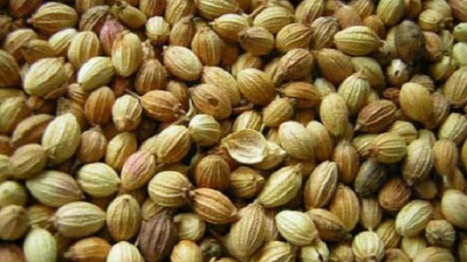 Ini Satu Obat Alami yang Membantu Singkirkan Vertigo dengan Cepat