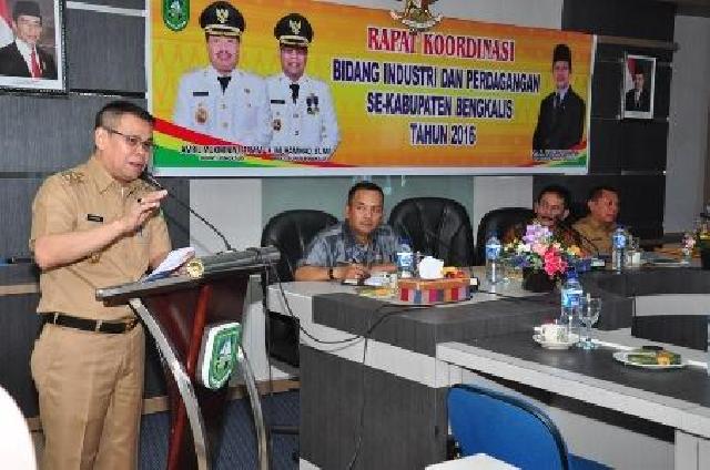 Wabup Bengkalis : Sektor Industri Memegang Peran Penting Majukan Daerah