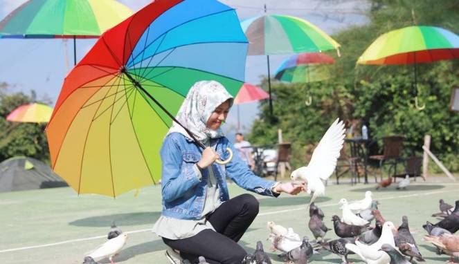 Bersantai di Wisata Unik Taman Burung Dara Indrapuri Aceh