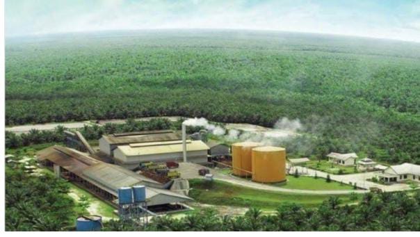 HGU 905 Disahkan MA! Penertiban Lahan PT Wanasari Berjalan Lancar