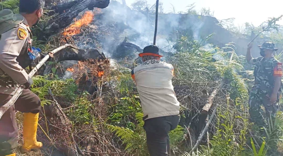 Karhutla di Kabupaten Rokan Hulu Semakin Meluas 