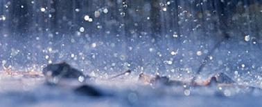 Walau Hujan Upacara Hari Kesadaran Nasional Tetap Di Gelar