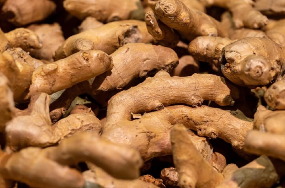 Berikut 4 Manfaat Temulawak bagi Kesehatan