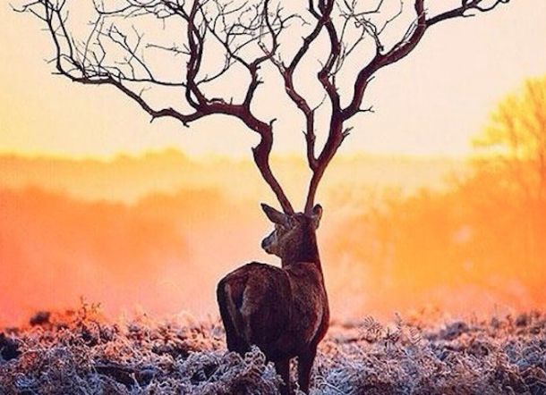 Kenali Kepribadian Anda dari Gambar yang Anda Lihat!