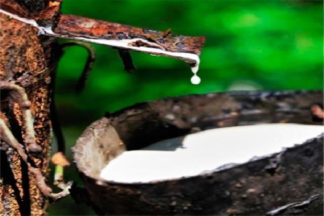 Uji coba aspal-karet, Kemendag optimis bisa selamatkan petani karet