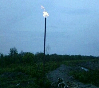Api Menyembur dari Bumi Hebohkan Warga Kuala Kampar, Pelalawan