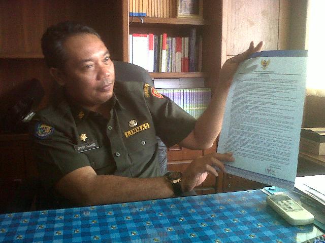 Usia 50 Pohon yang Tumbang Tadi Malam Rata-rata 15-20 Tahun