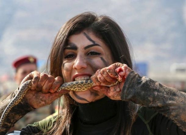 Ritual Pejuang Kurdi Lulus Pendidikan, Gigit Ular dan Kelinci Hingga Robek