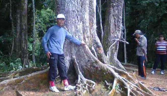 Sebakas, Desa yang Hilang Disumpah Si Pahit Lidah