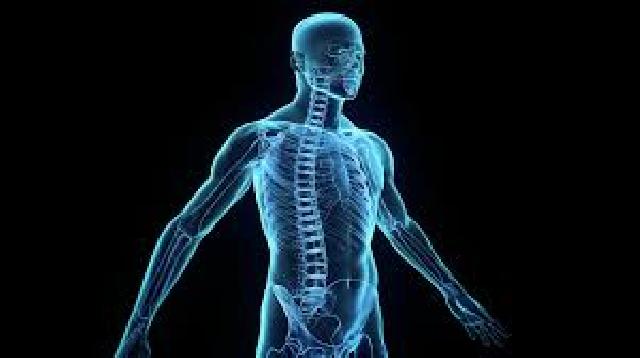 Alquran dan Sains Jelaskan Keajaiban Tulang Manusia