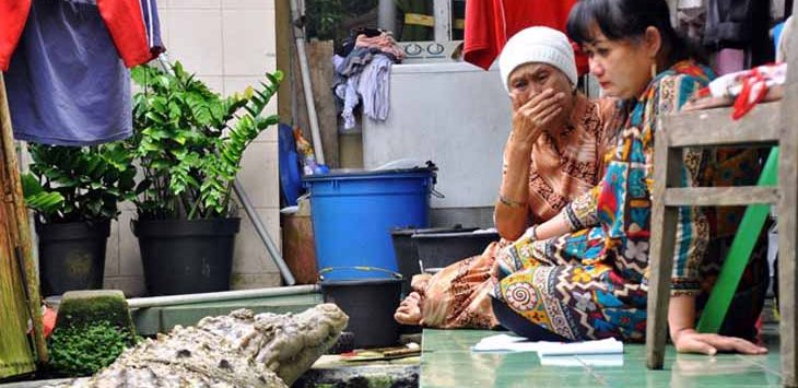 Kisah Sedih! 21 Tahun Hidup Bersama Buaya, Akhirnya Berpisah…