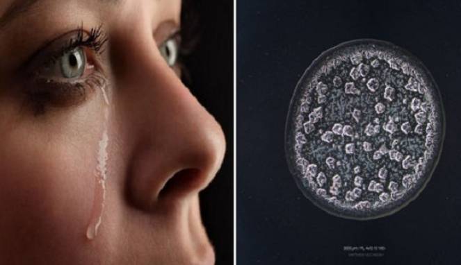 Mengintip Indahnya Penampakan Air Mata Bila Diperbesar