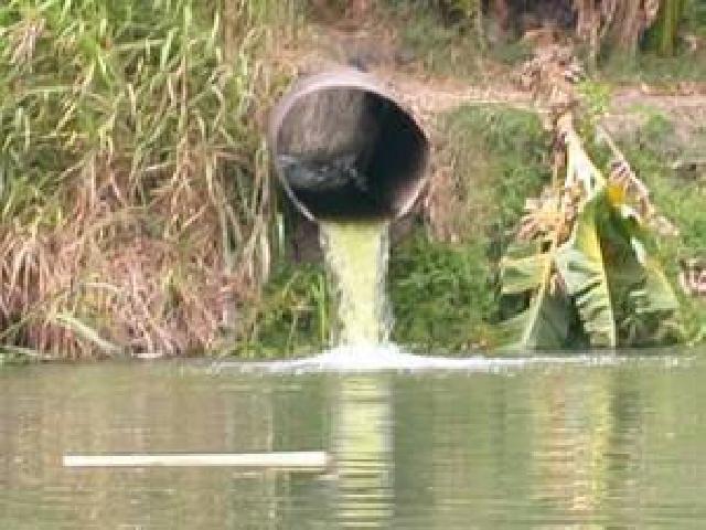 Masyarakat Tanjung Pauh Tuntut PT IIS Rp1 M