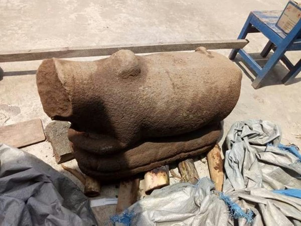 Patung Sapi Diduga dari Era Majapahit Ditemukan