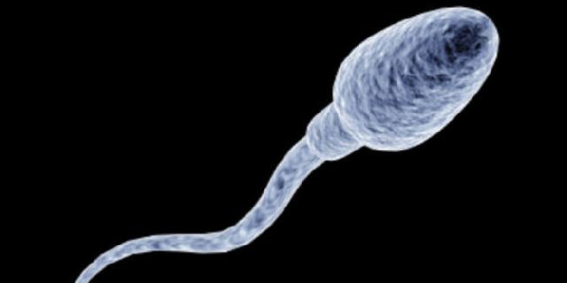 Puasa disinyalir bisa obati lemah syahwat dan kemandulan