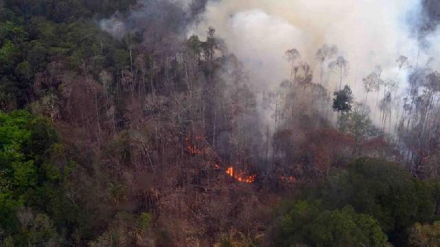 Hingga Hari ini 13 Titik Api di Bengkalis