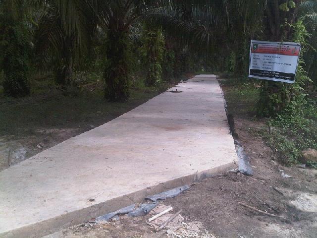 Warga Sesalkan Semenisasi Jalan Buntu Dalam Kebun Sawit