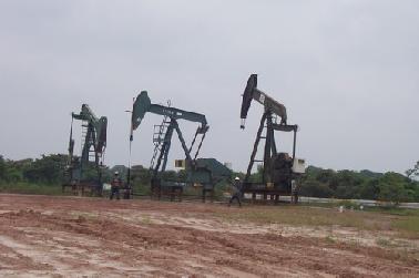 Pemprov Riau Lirik Ladang Minyak Blok Kampar