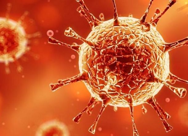 Ilmuwan Temukan 6 Jenis Virus Covid-19 Baru