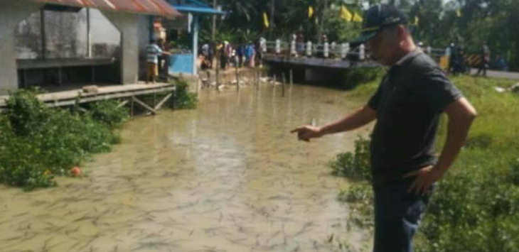 Merinding! Ribuan Hewan Aneh Muncul di Sungai Raya, ini Vidionya