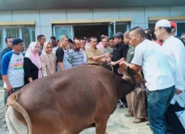 Meningkat dari Tahun Lalu, PWI Riau Sembelih Tujuh Ekor Sapi dan Dua Ekor Kambing